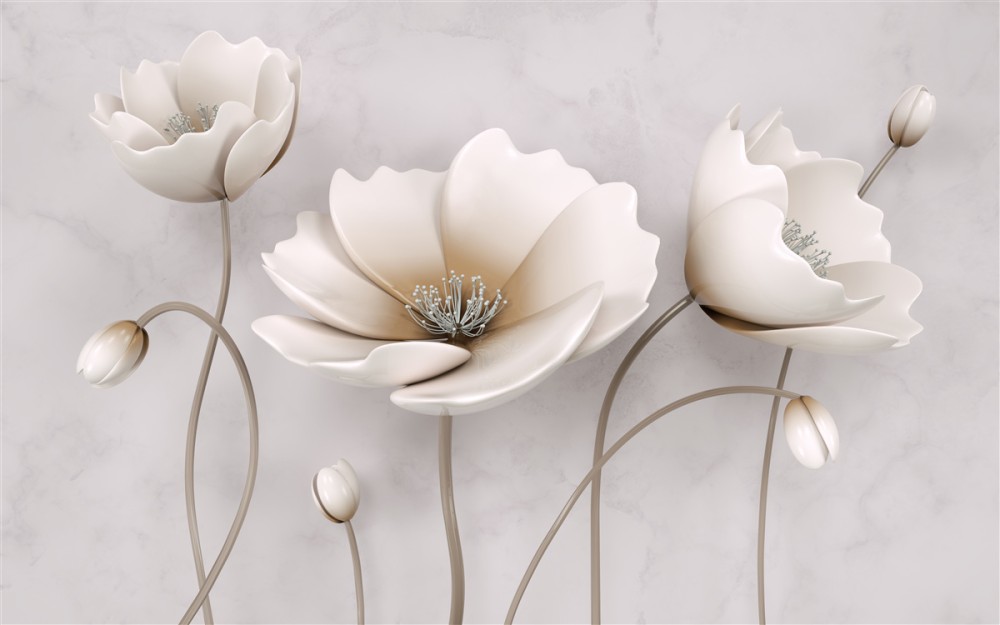 Last Product image