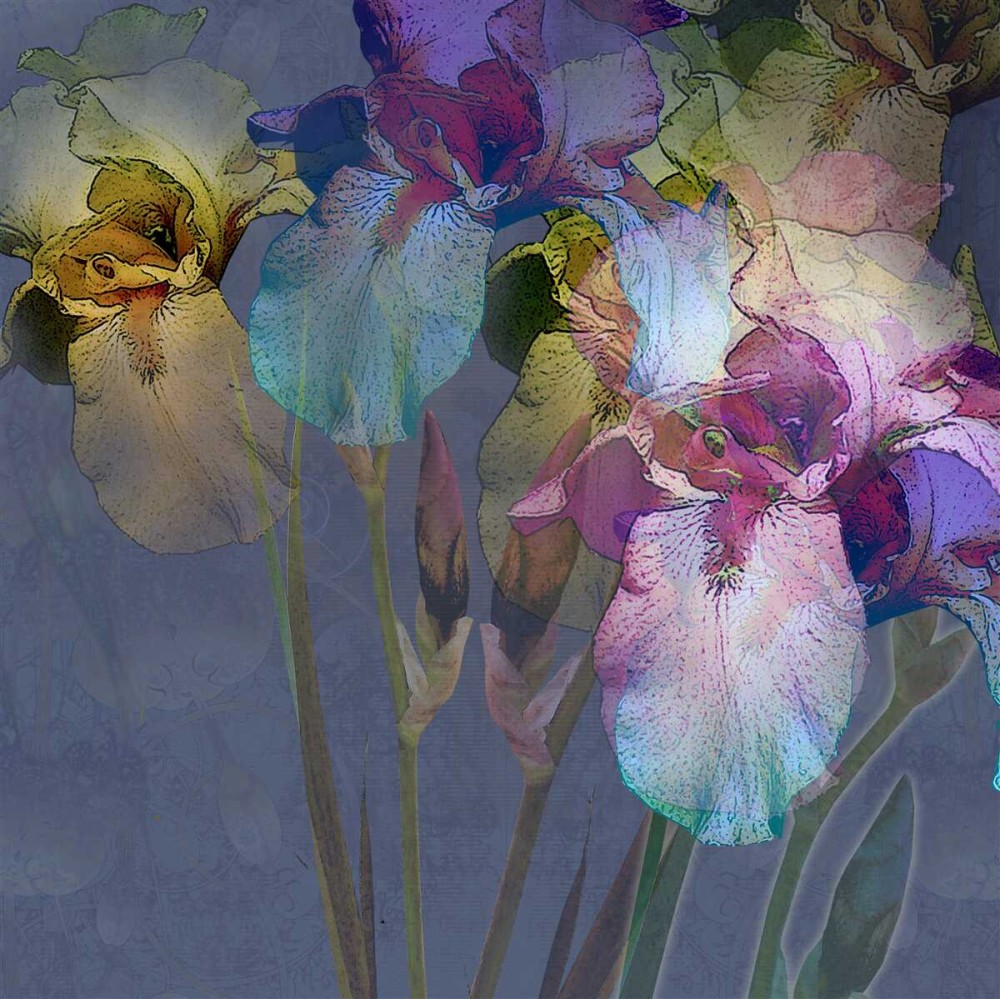 Last Product image