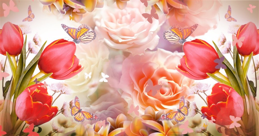 Last Product image