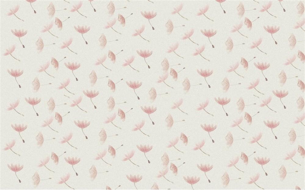 Last Product image