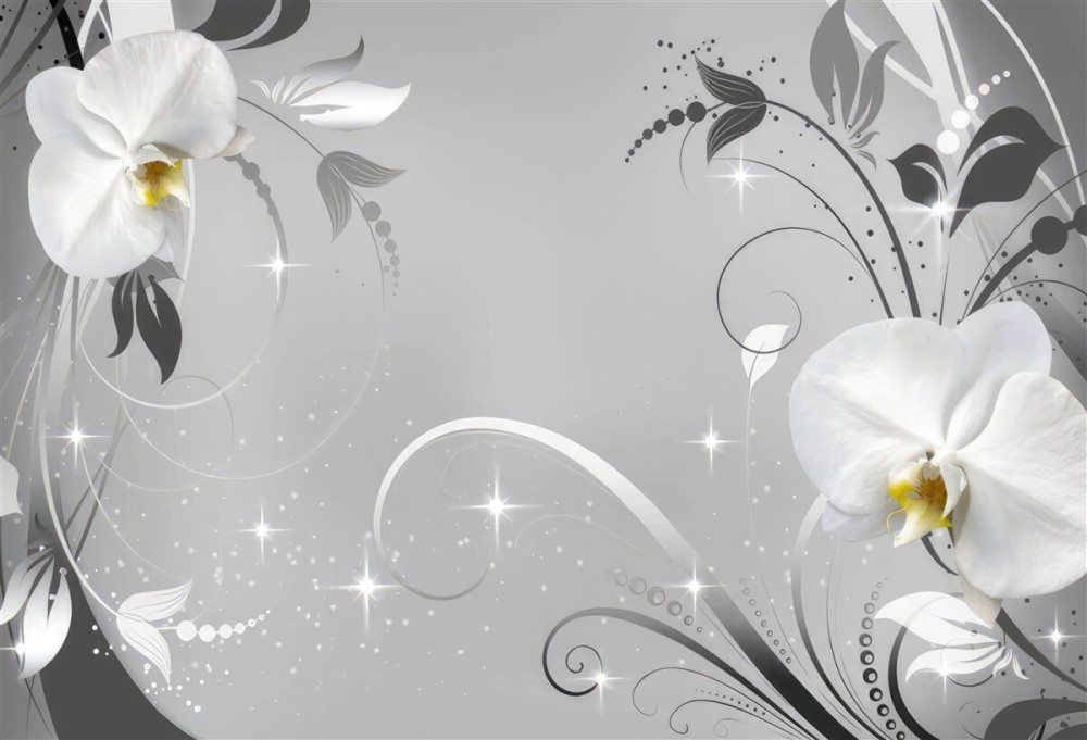 Last Product image