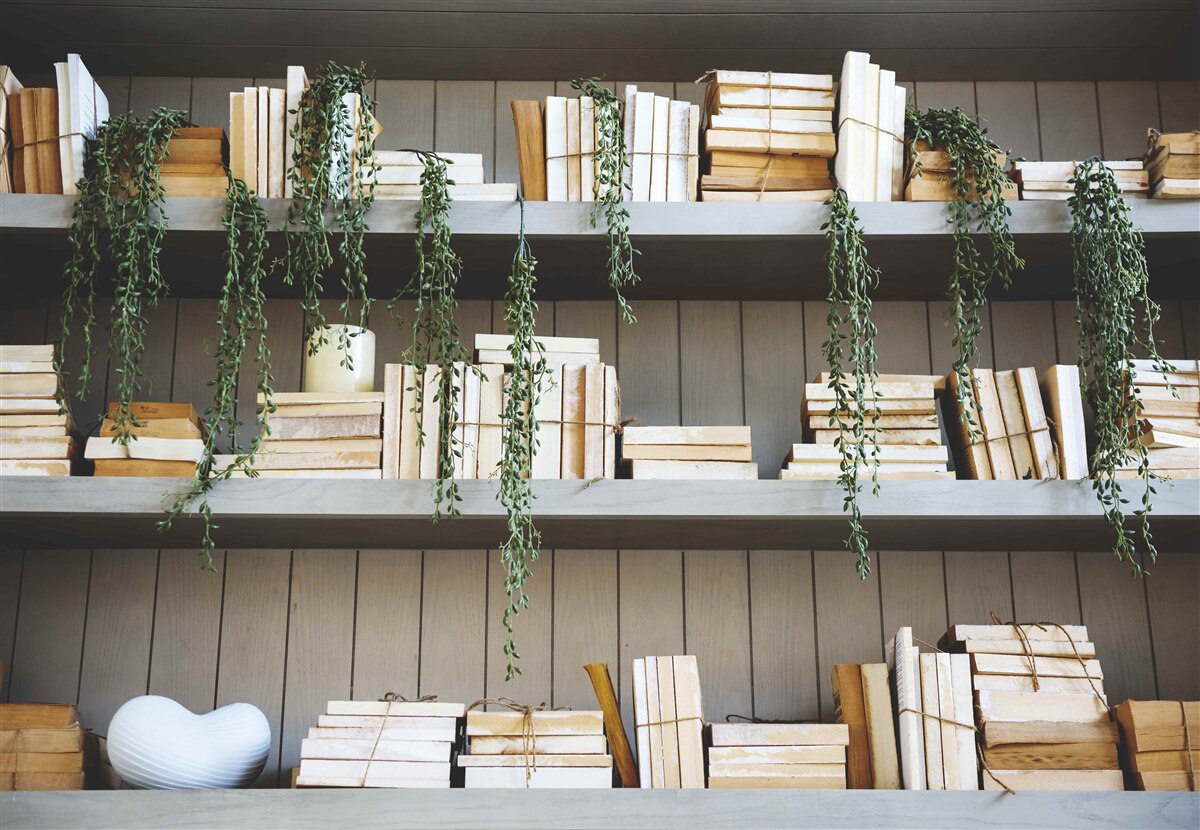 Fototapeten Regale mit Büchern und grünen Pflanzen schaffen eine gemütliche Atmosphäre