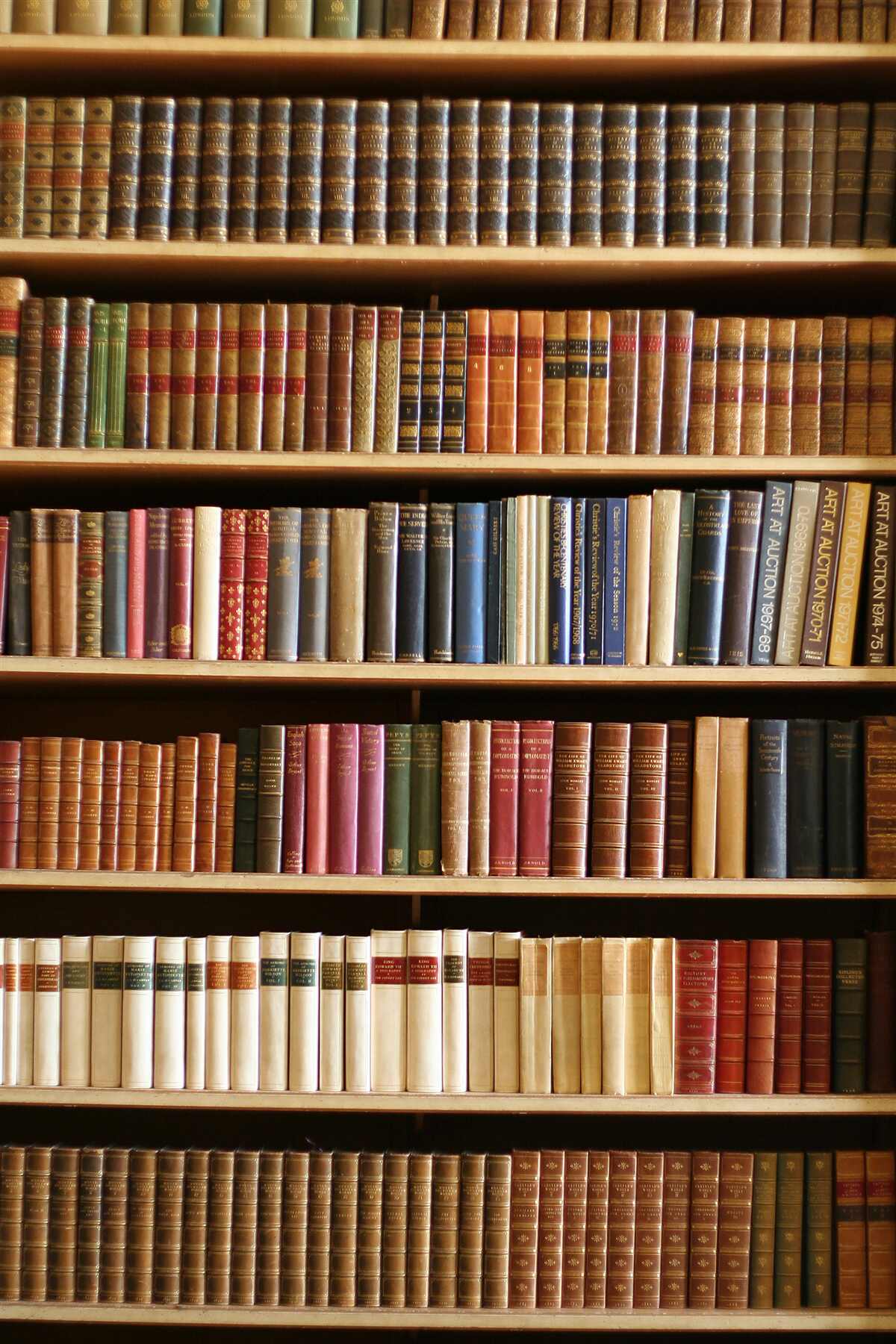 Fototapeten Es gibt viele Bücher in den Regalen