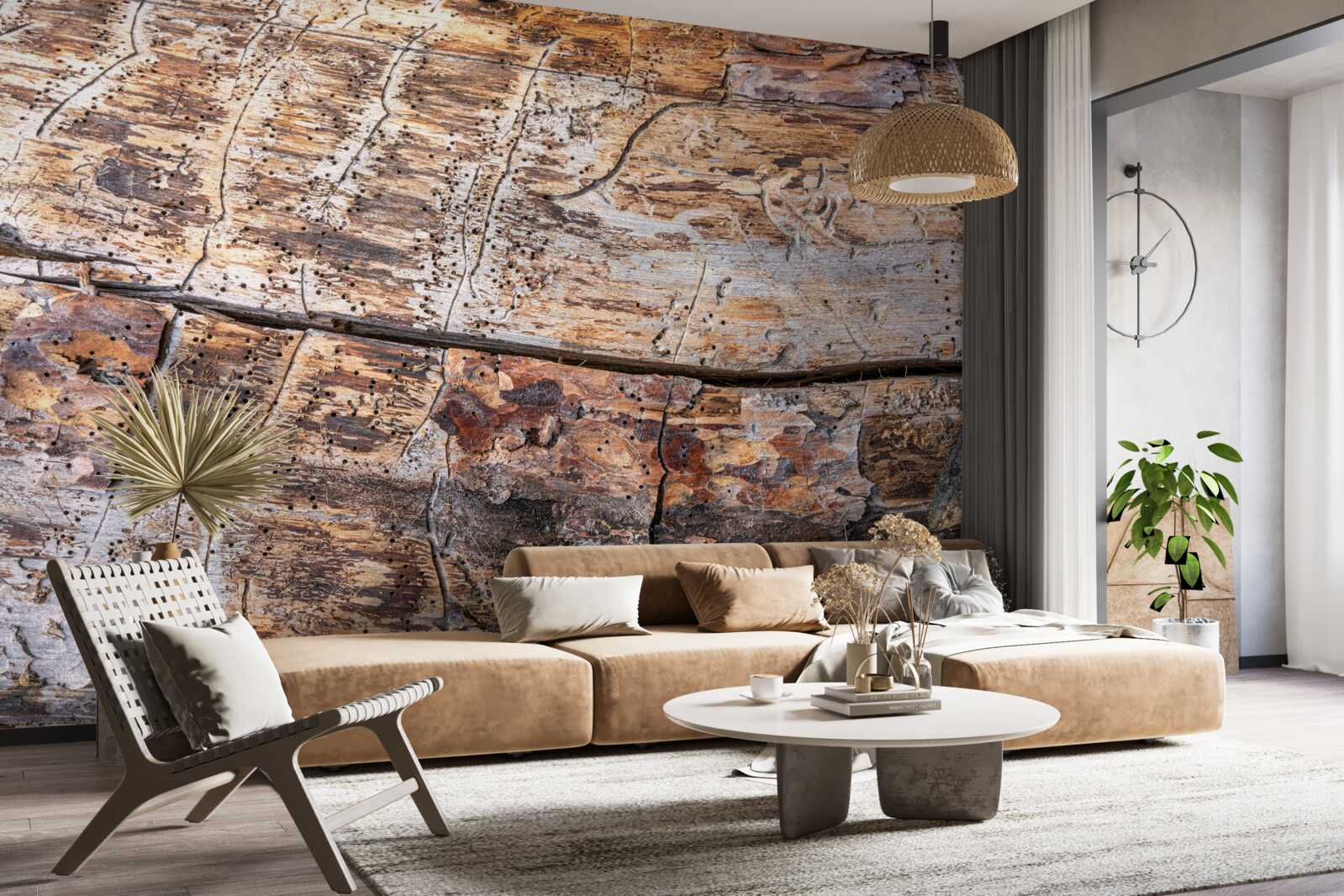 Fototapeten Struktur von verrottetem Holzmaterial