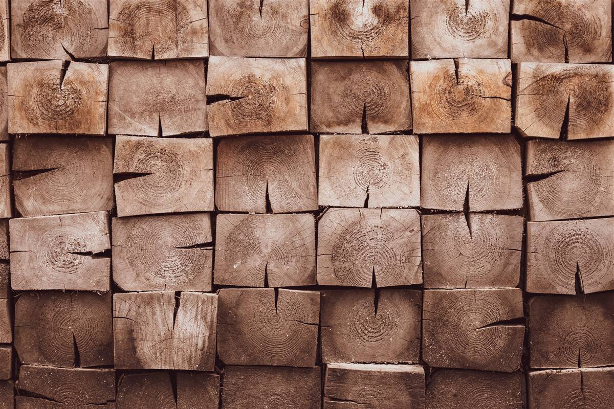 Fototapeten Haufen Holzstämme