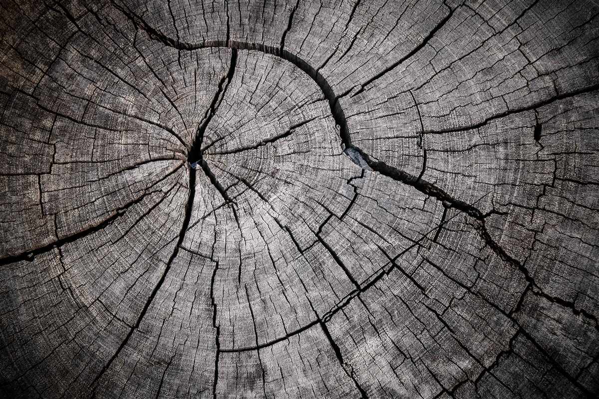 Fototapeten Risse laufen durch altes Holz