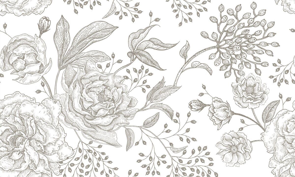 Fototapeten Rose und andere Blumen werden auf einem weißen Hintergrund präsentiert