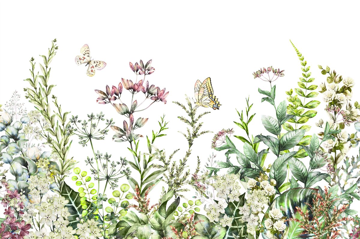 Fototapeten Lepidopter auf Feldknospen