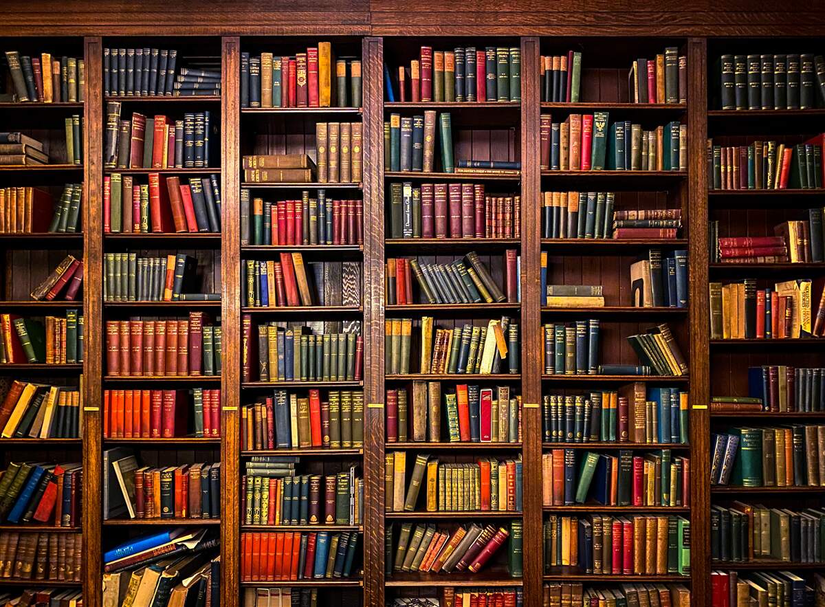 Fototapeten Eine reiche Bibliothek mit Büchern
