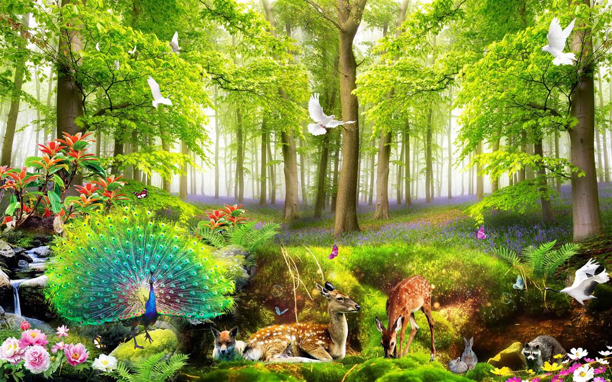 Fototapeten Fauna der grünen Sommerwälder