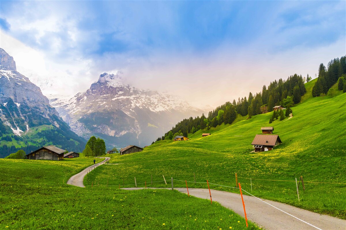 Fototapeten Weg durch grüne Gletscher in Richtung der Berge