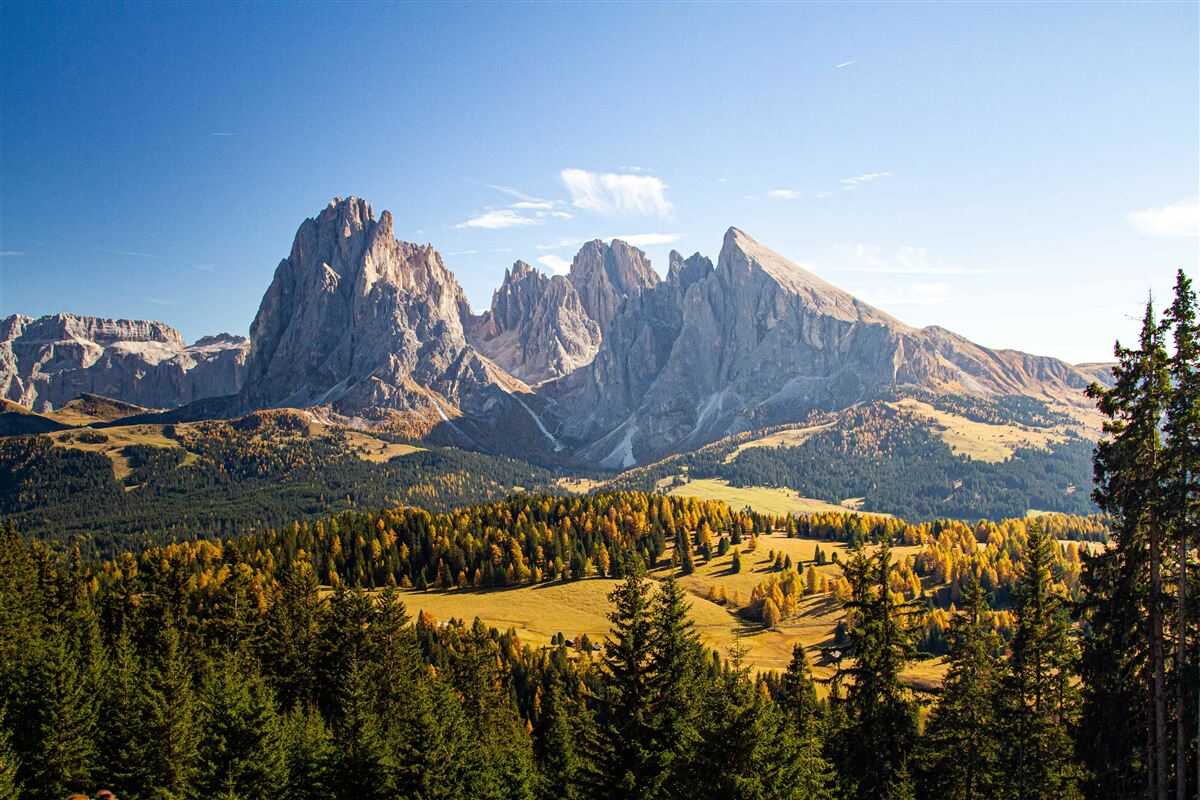 Fototapeten Dicker Wald und beeindruckende Langkofel -Berge