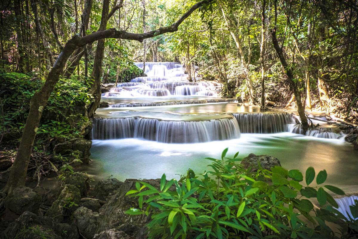 Fototapeten Waldwasserfälle fallen mit einer Kaskade im Morgengrauen