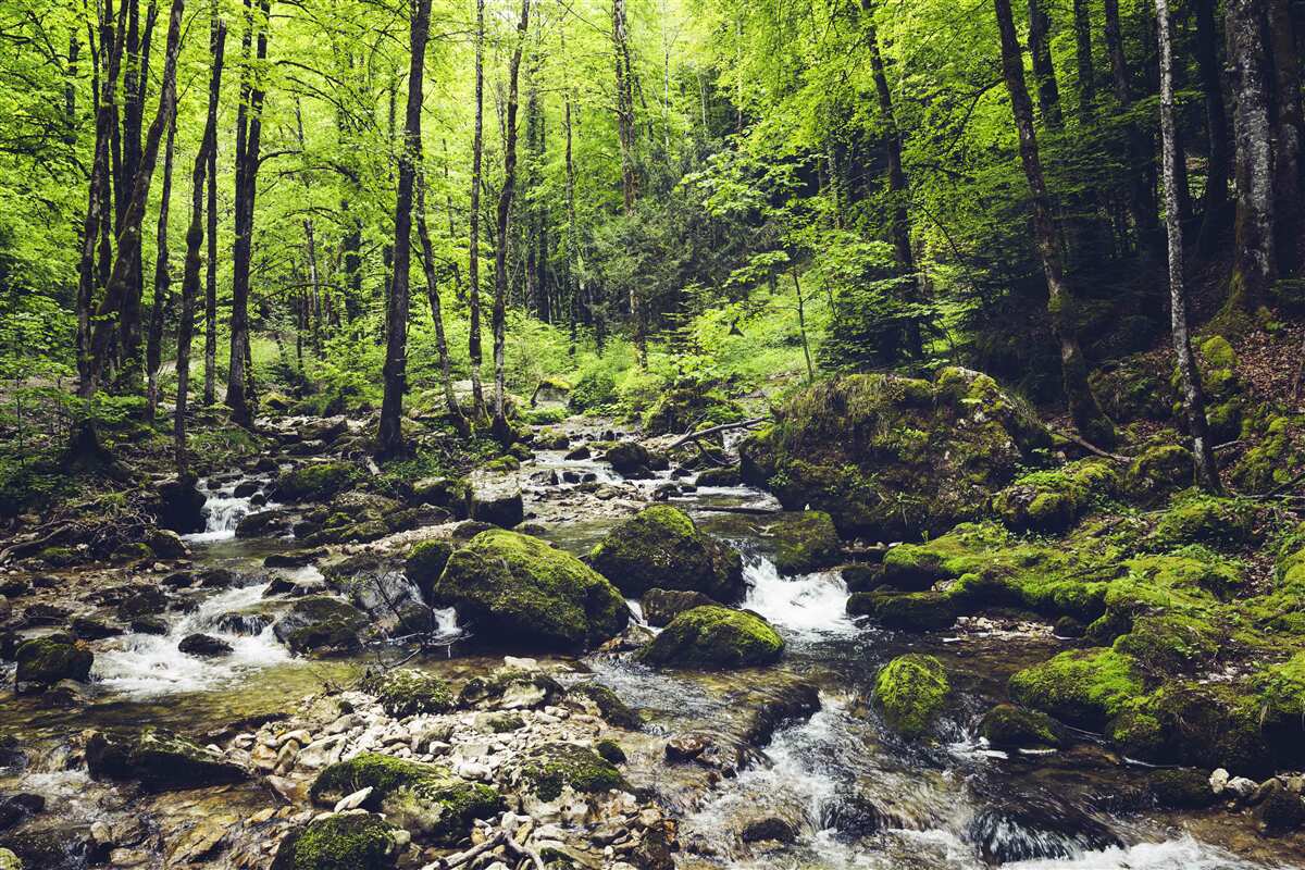 Fototapeten Wasserfall in den Bergen, umgeben von einem grünen Kühlergrill umgeben
