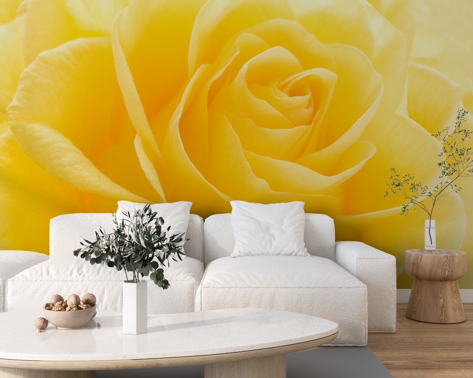 Fototapeten Gestreckte gelbe Rose