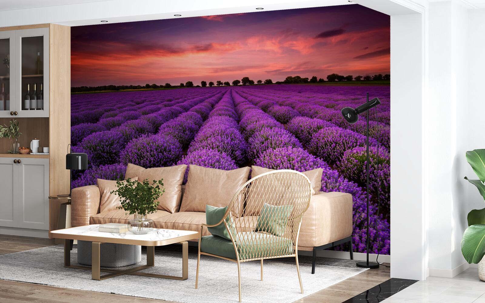 Fototapeten Ein wundervolles Feld Lavendel