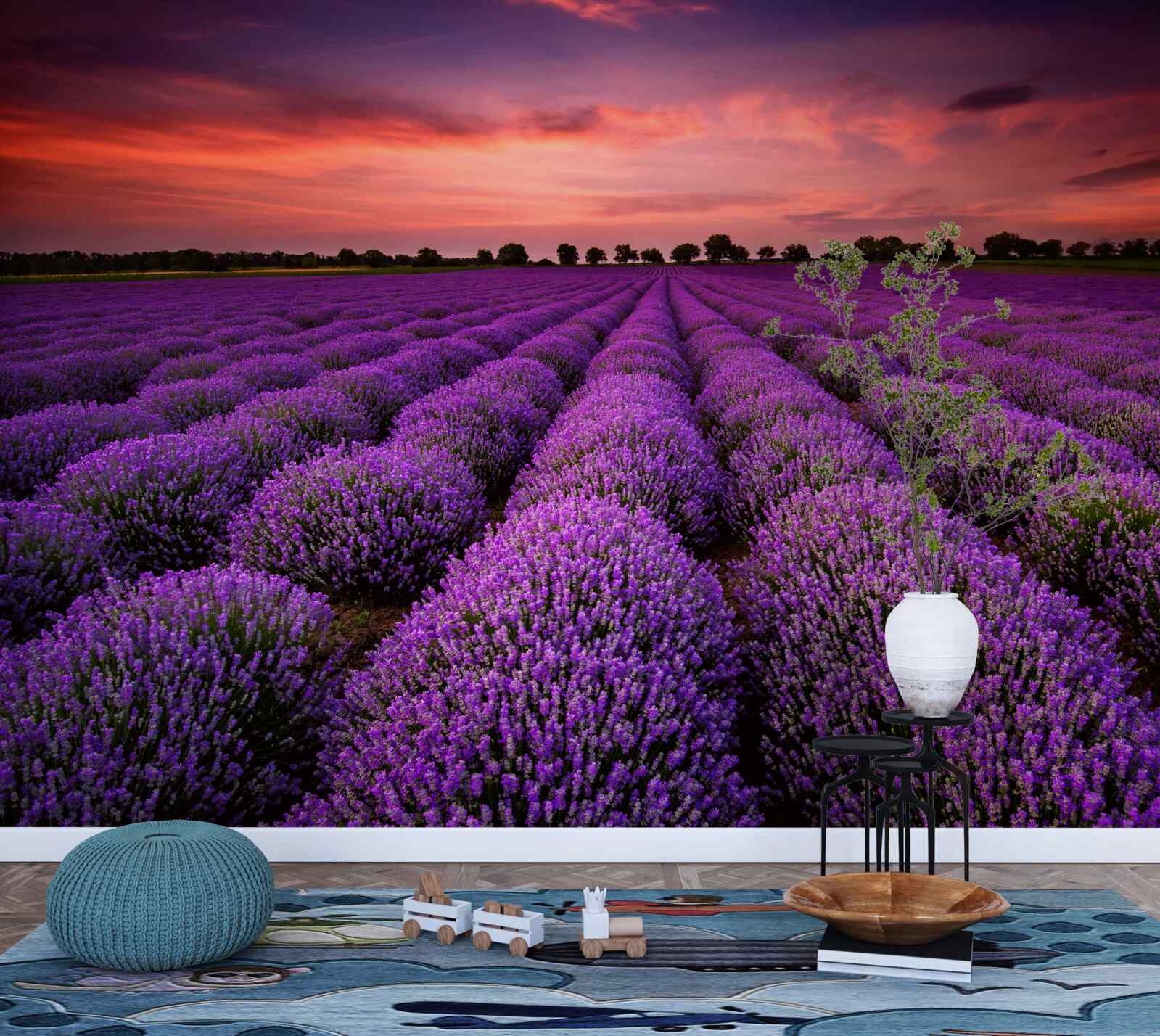 Fototapeten Ein wundervolles Feld Lavendel