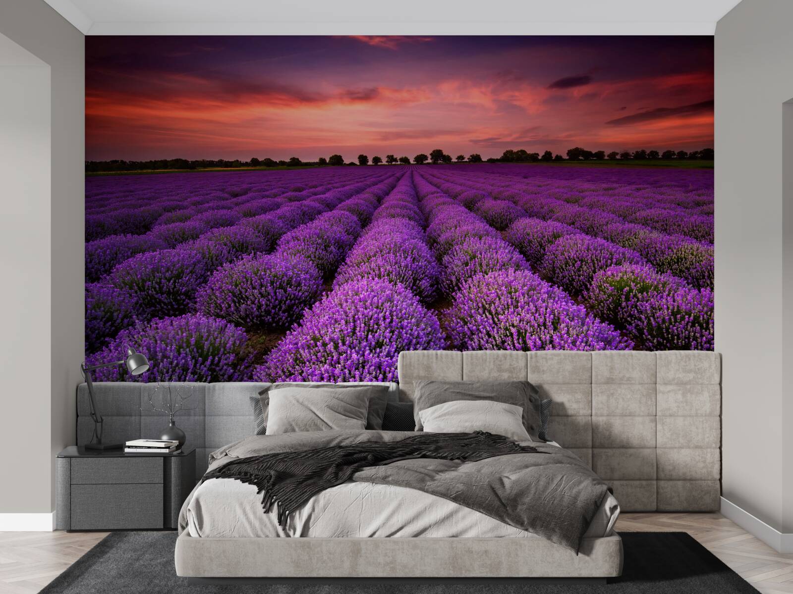Fototapeten Ein wundervolles Feld Lavendel