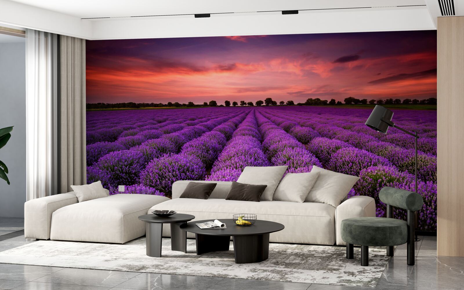 Fototapeten Ein wundervolles Feld Lavendel