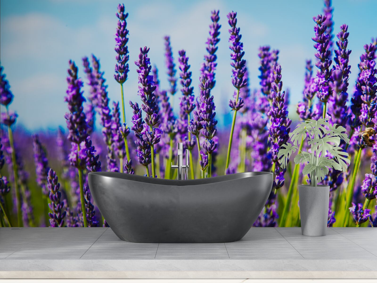 Fototapeten Lila Lavendel vor dem Hintergrund des blauen Himmels