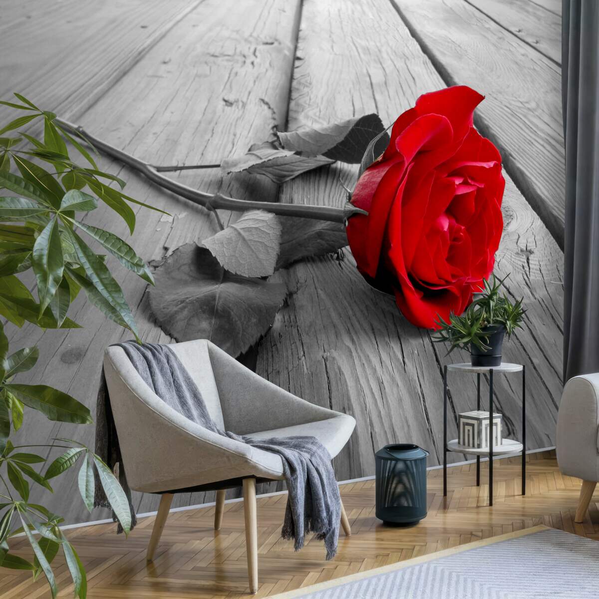 Fototapeten Tief purpurrote Rose