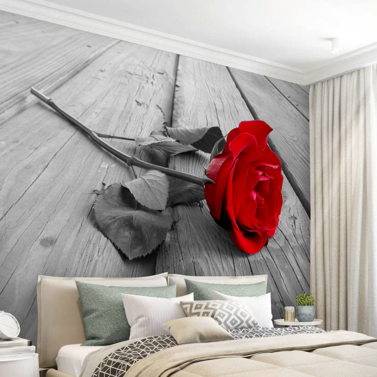 Fototapeten Tief purpurrote Rose