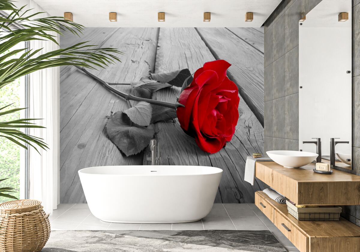 Fototapeten Tief purpurrote Rose