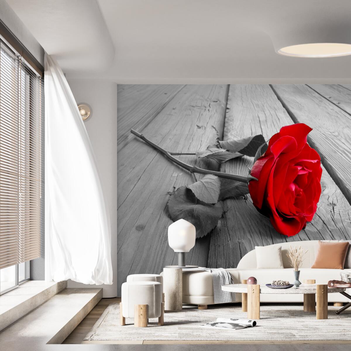 Fototapeten Tief purpurrote Rose