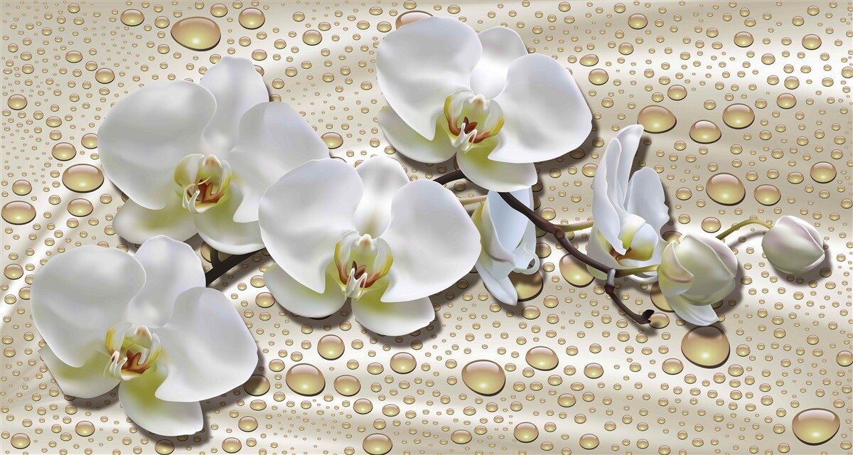 Fototapeten Ein Zweig der weißen Orchidee mit Seidenregen benetzt