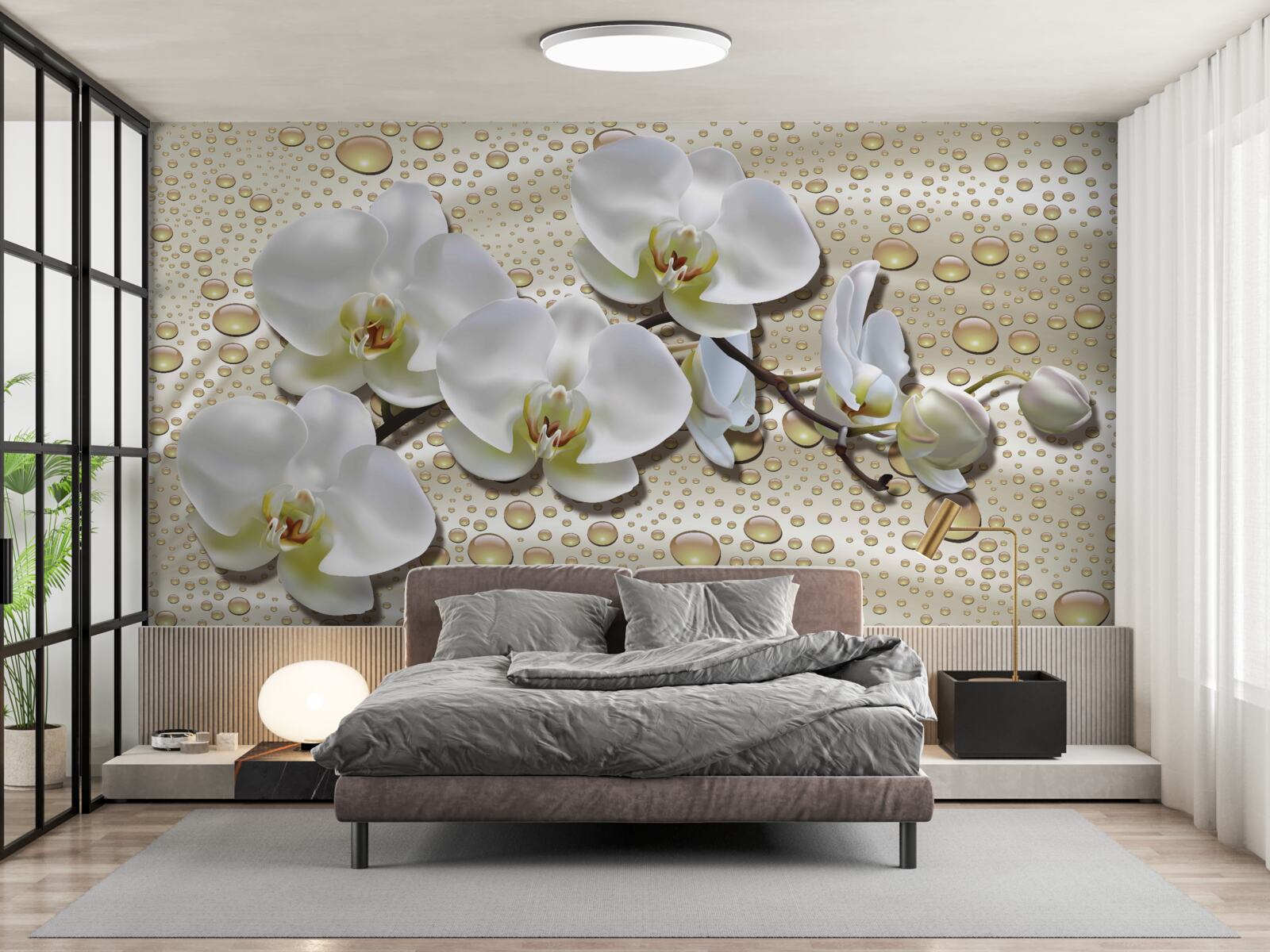 Fototapeten Ein Zweig der weißen Orchidee mit Seidenregen benetzt