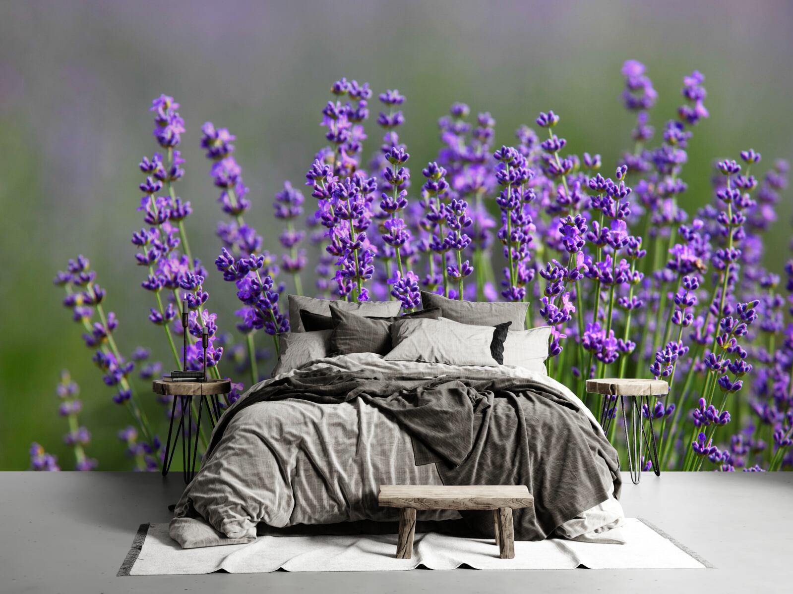 Fototapeten Lavendel-lila Farbe