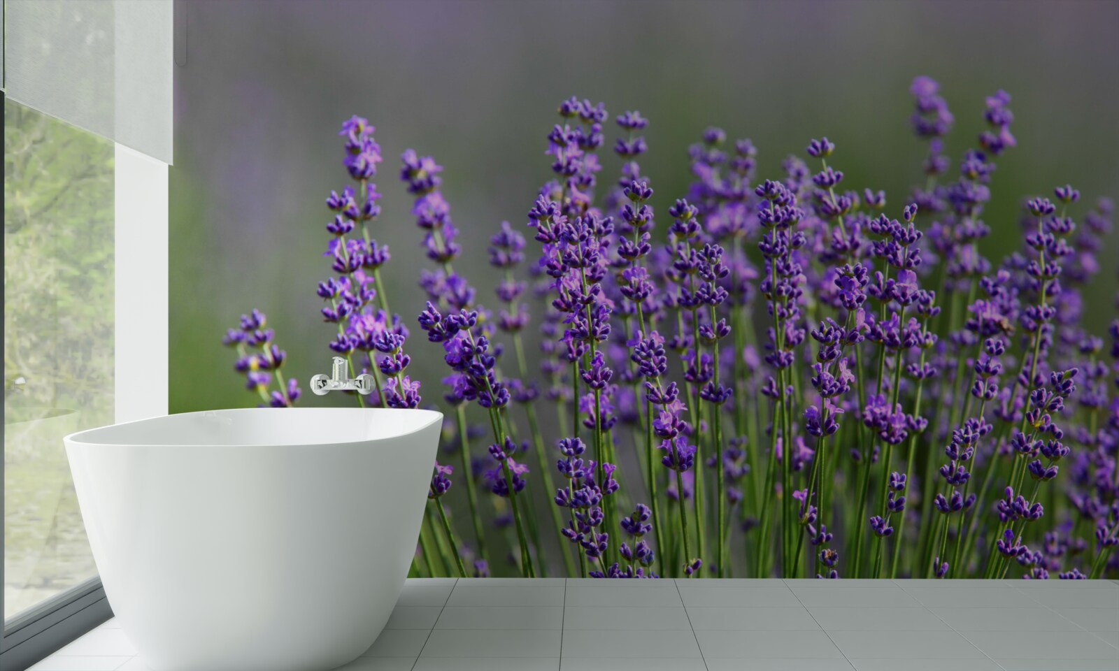 Fototapeten Lavendel-lila Farbe