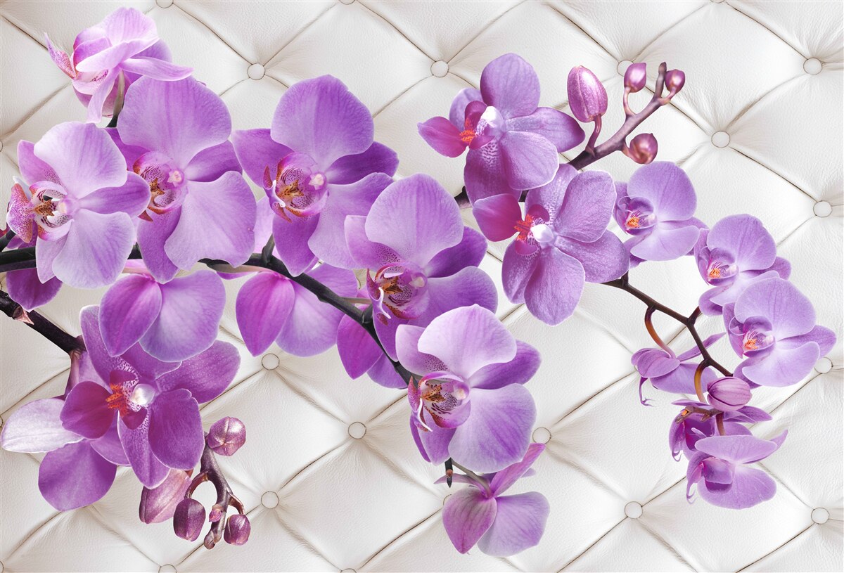 Fototapeten Die Textur enthält Zweige von Flilac Orchidee