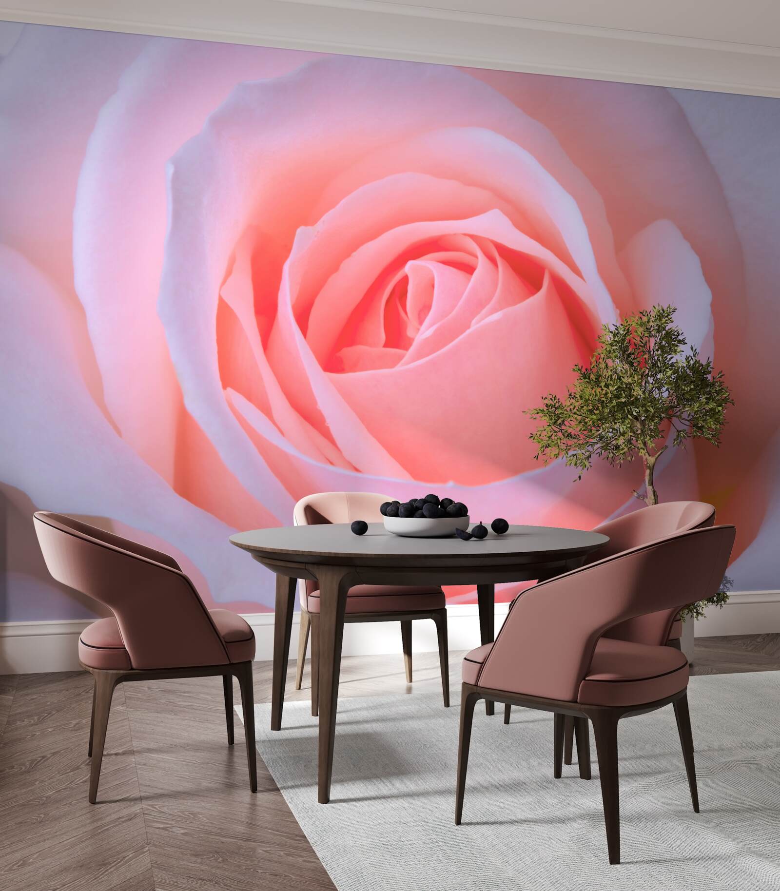 Fototapeten Eine zarte Rose mit schönen rosa Blütenblättern