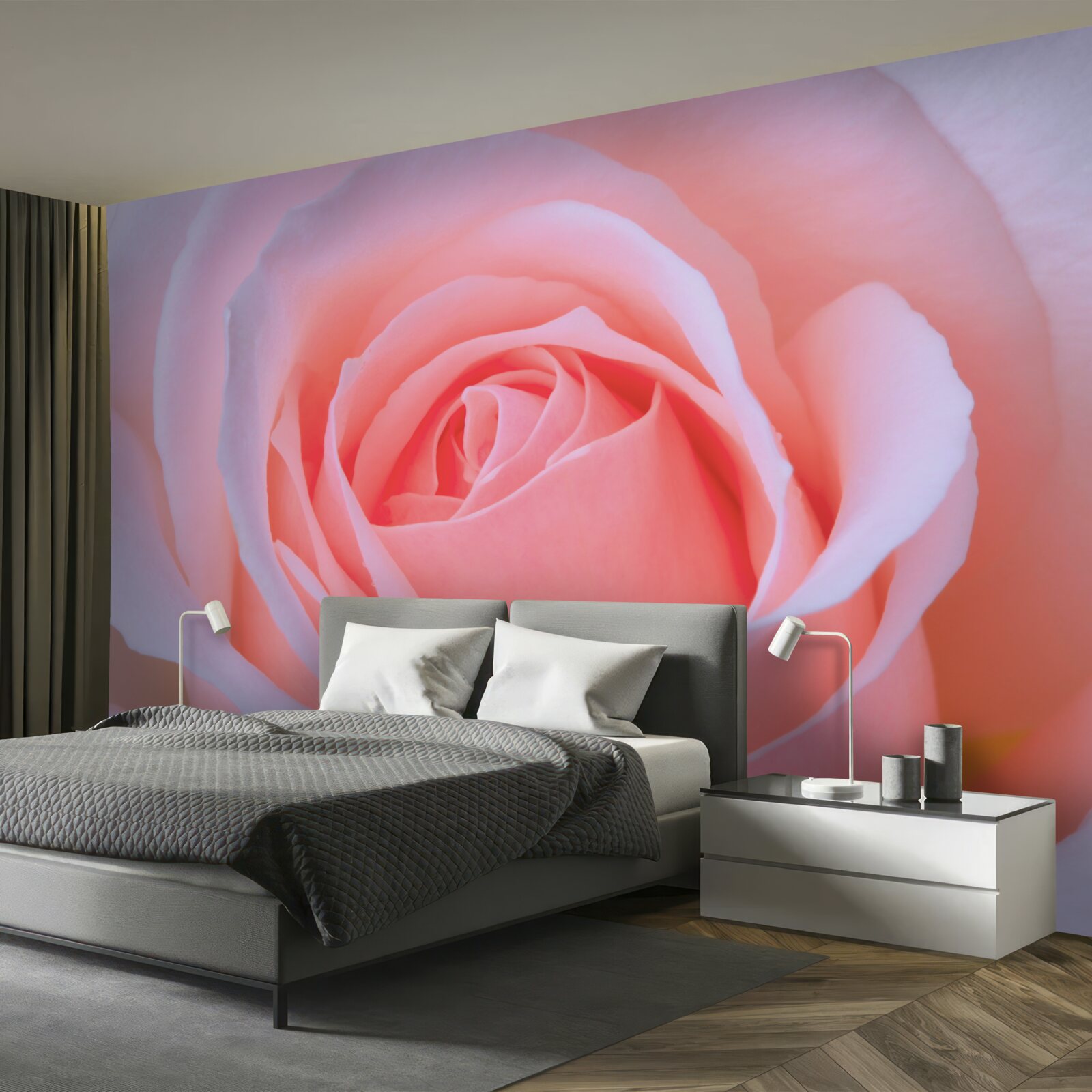 Fototapeten Eine zarte Rose mit schönen rosa Blütenblättern