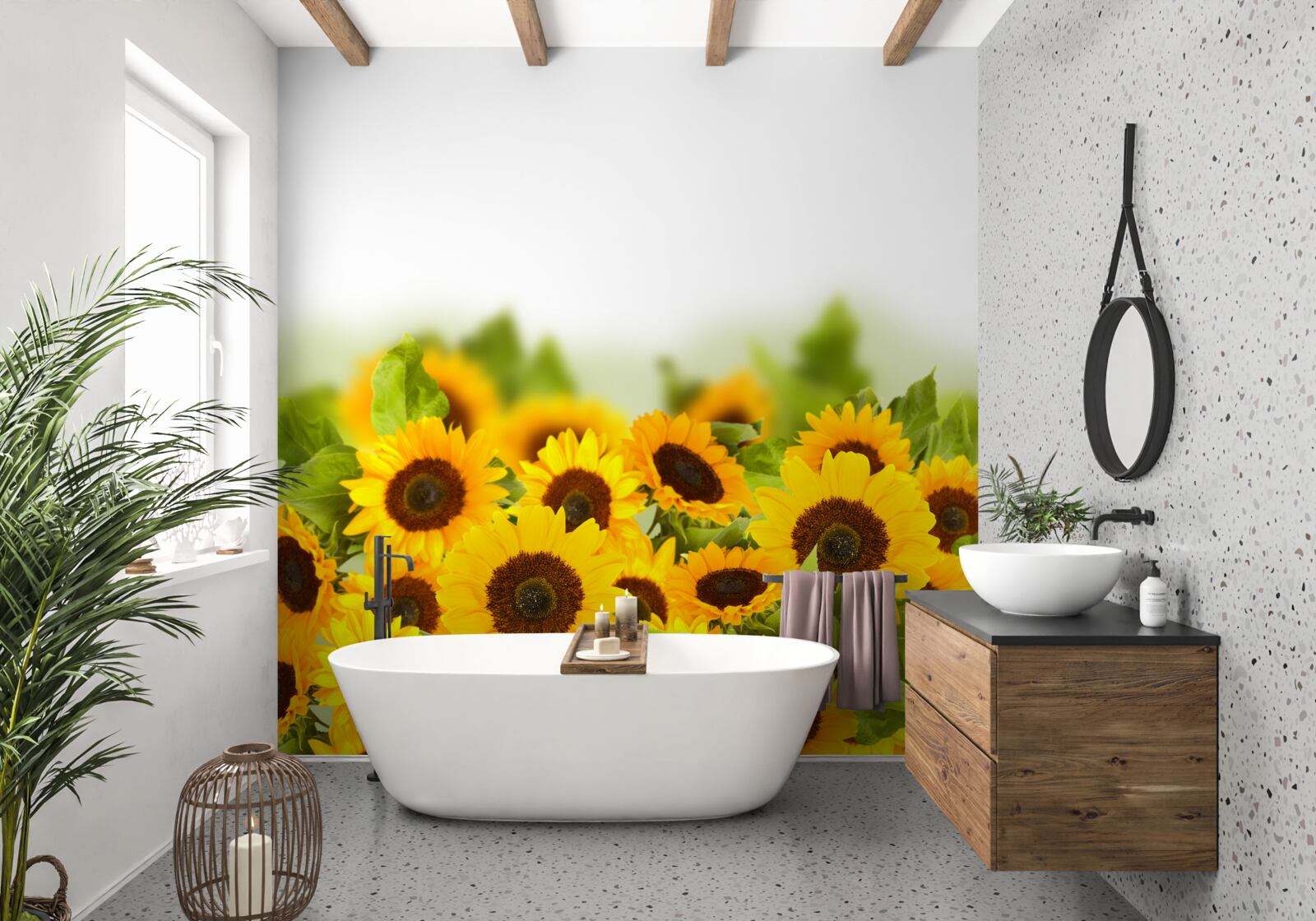Fototapeten Ein Feld mit bunten Sonnenblumen dekoriert