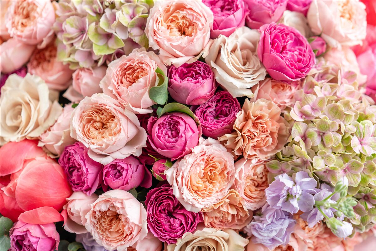 Fototapeten Eine Kombination aus verschiedenen wunderbaren Rosen in einem Blumenstrauß