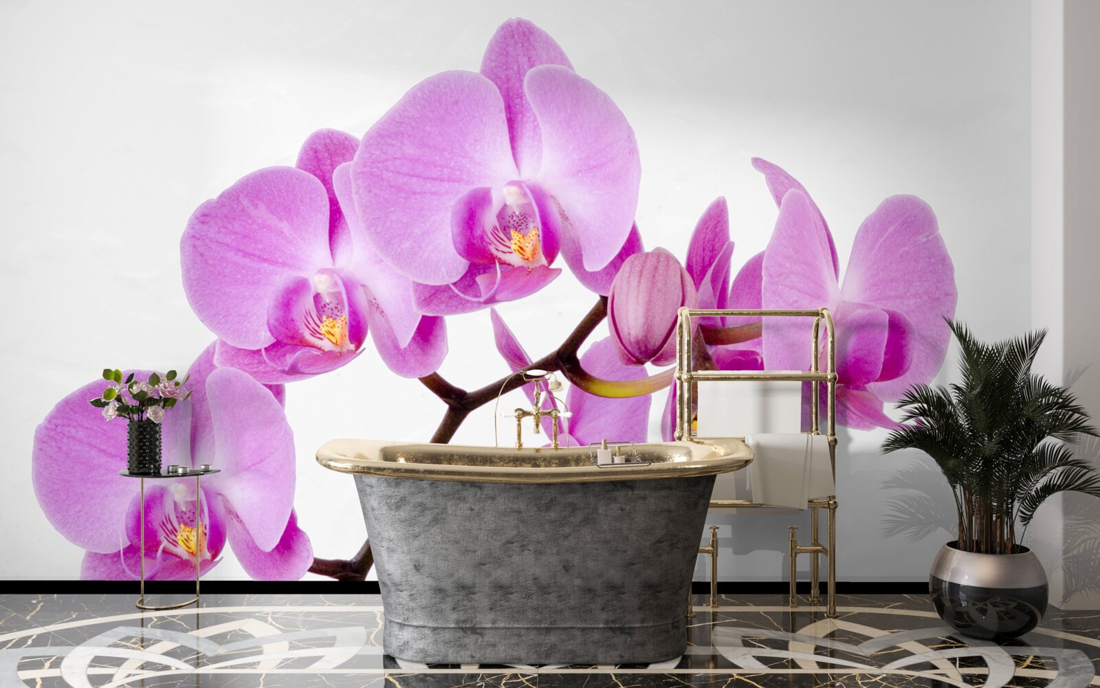 Fototapeten Lila Orchideen Aphrodite