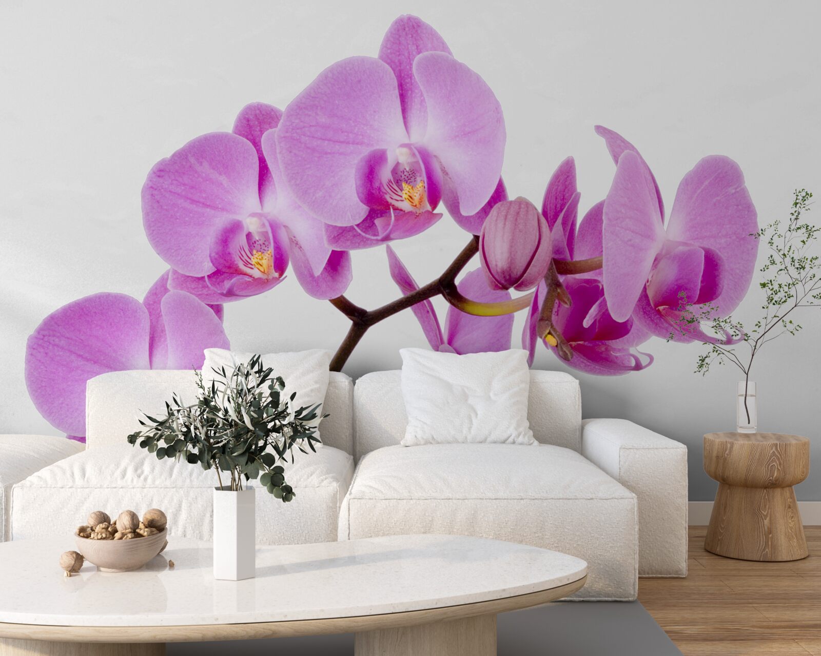 Fototapeten Lila Orchideen Aphrodite