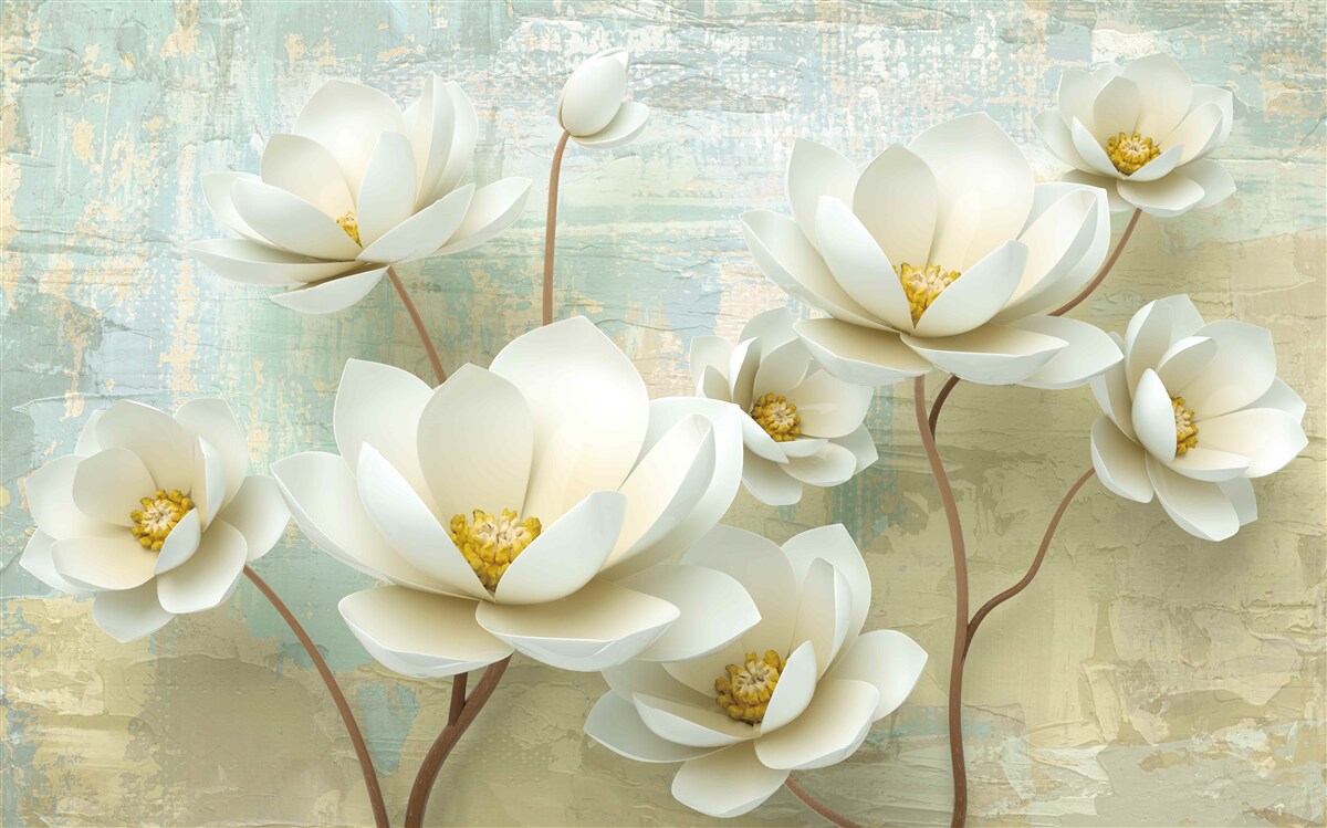 Fototapeten Magnolienzweige blühen weiß