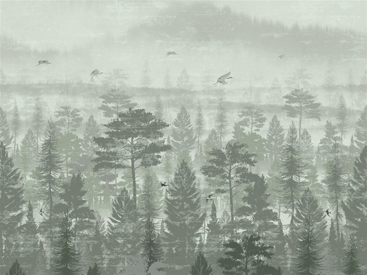 Fototapeten Regenwald in Zeiten starker Niederschläge