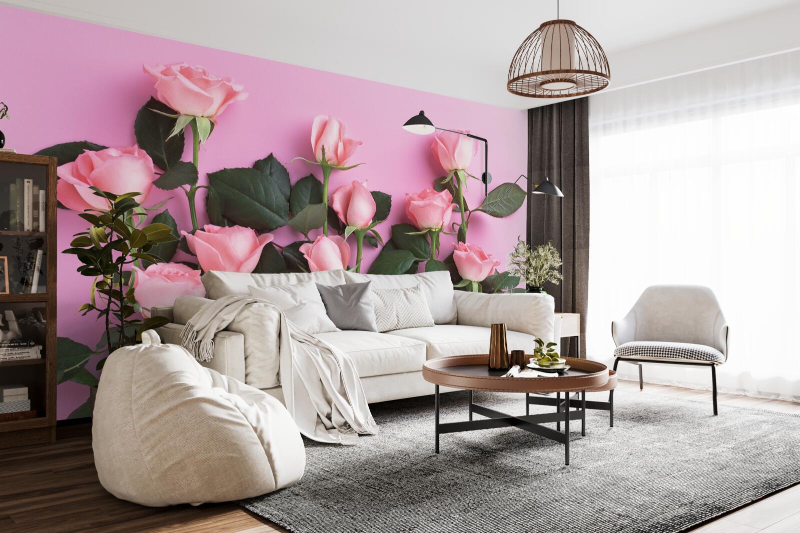 Fototapeten Zarte rosa Rosen auf einem einzelnen verärgerten rosa Hintergrund