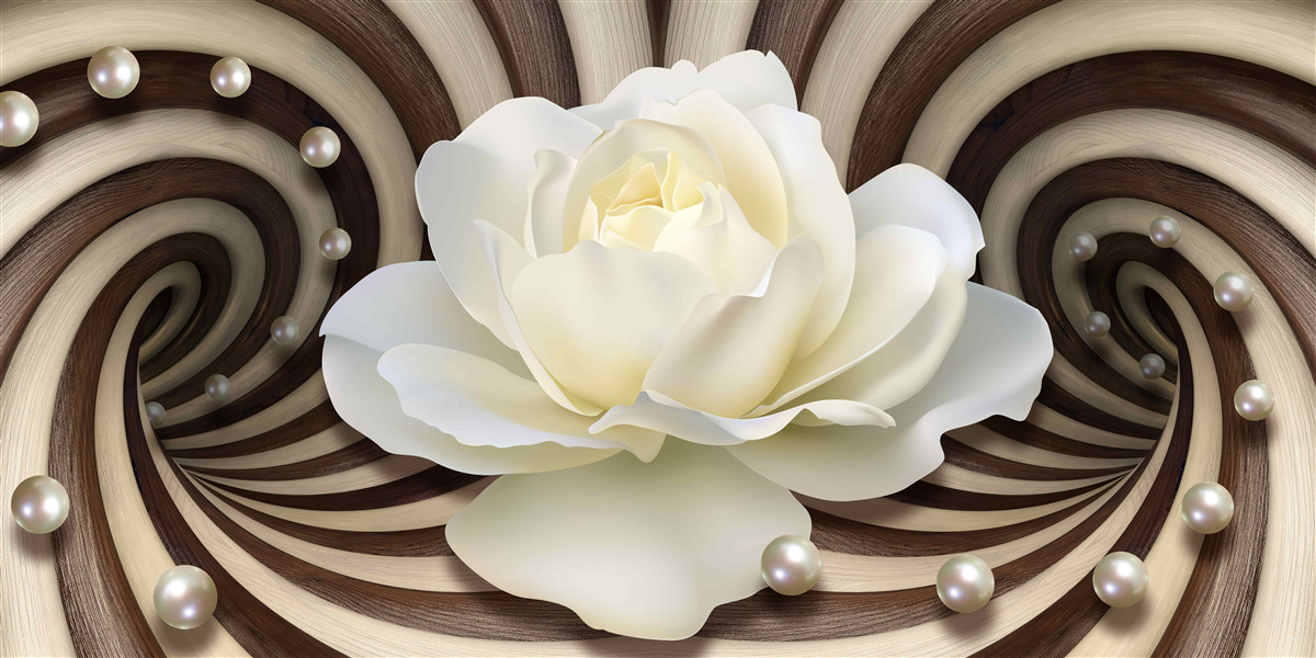 Fototapeten Die Rose ist weiß mit Perlendekorationen und Locken