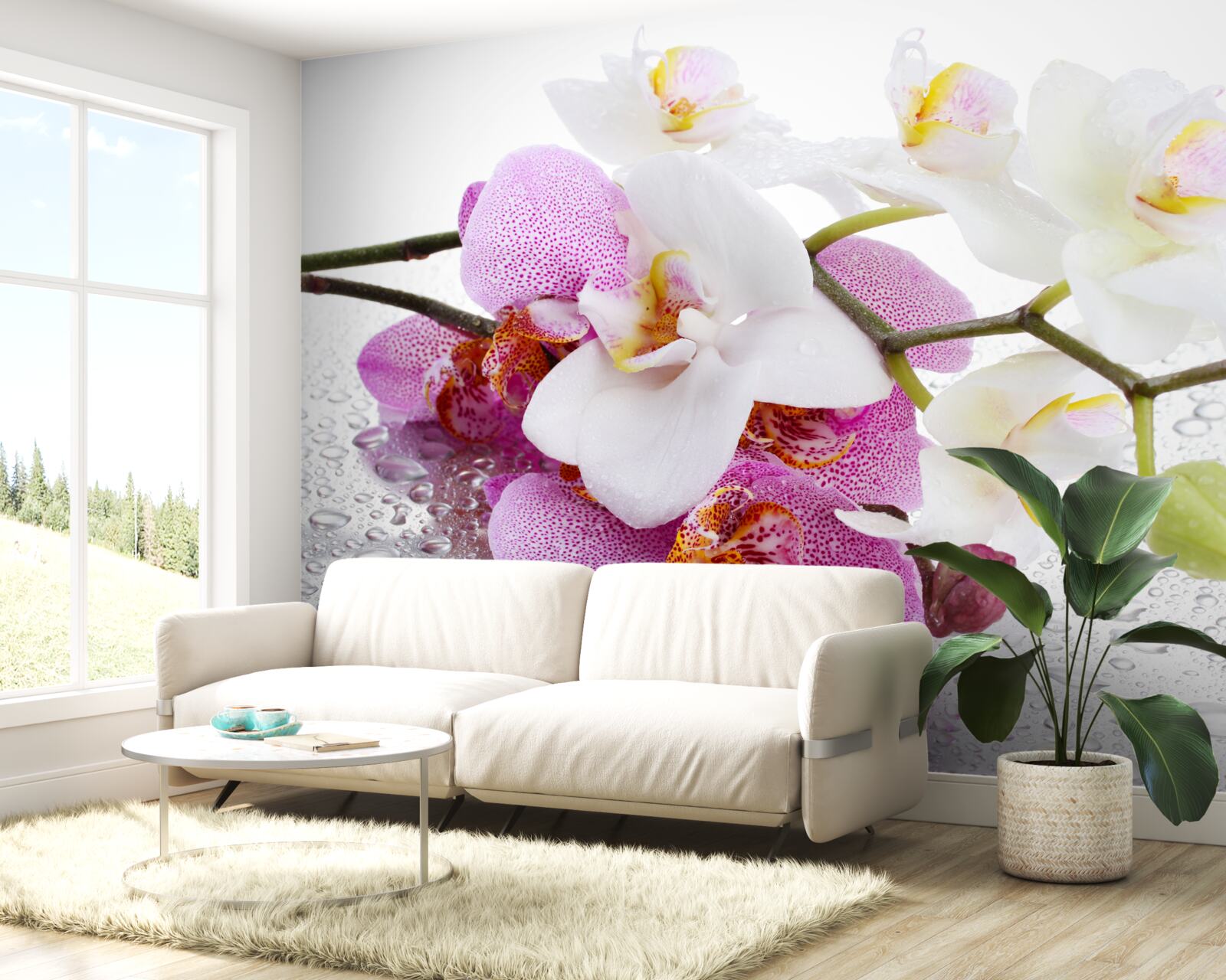 Fototapeten Tropfen Tau auf die Zweige der weißen und lila Orchidee