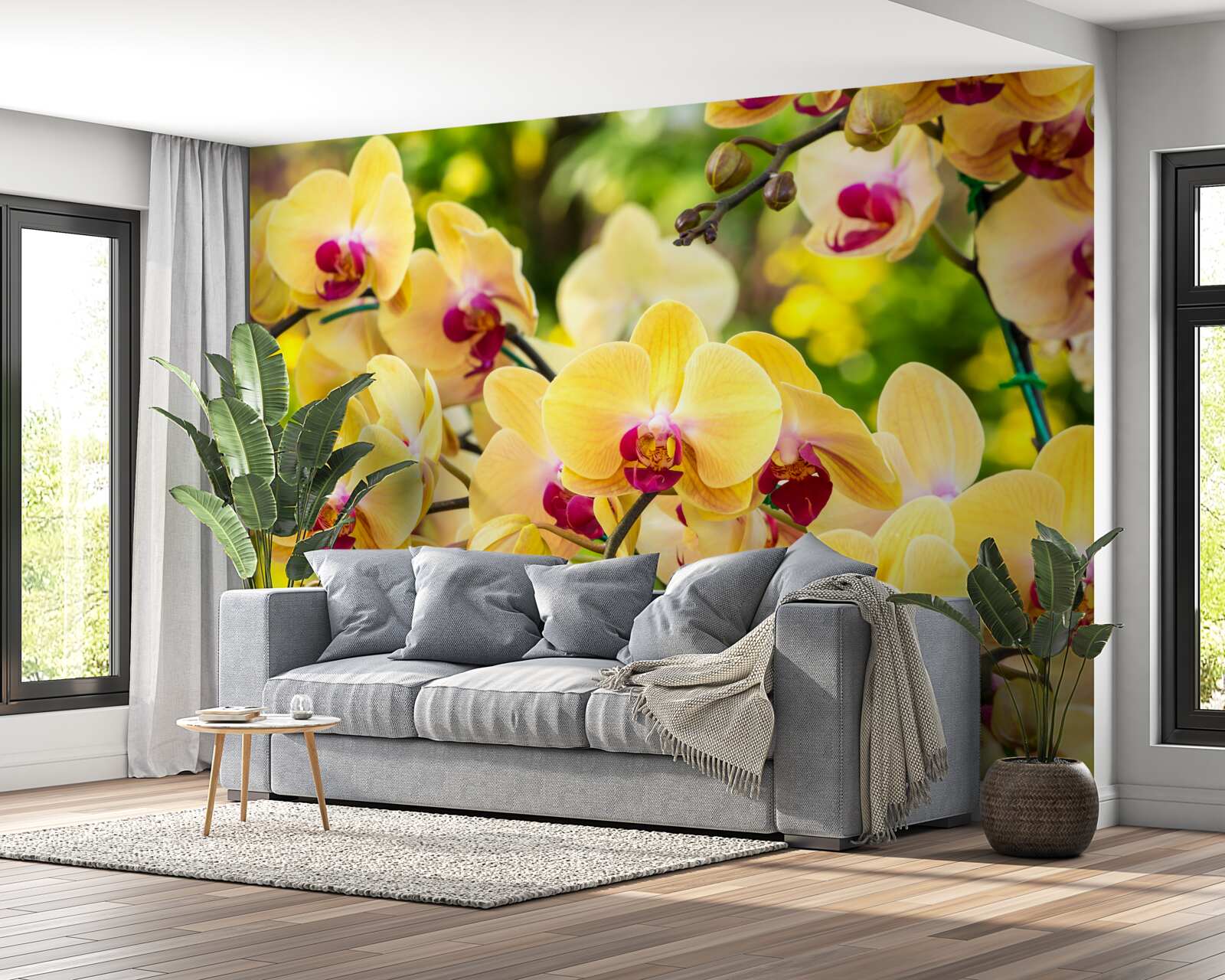 Fototapeten Gelbe Orchideen im Sommergarten