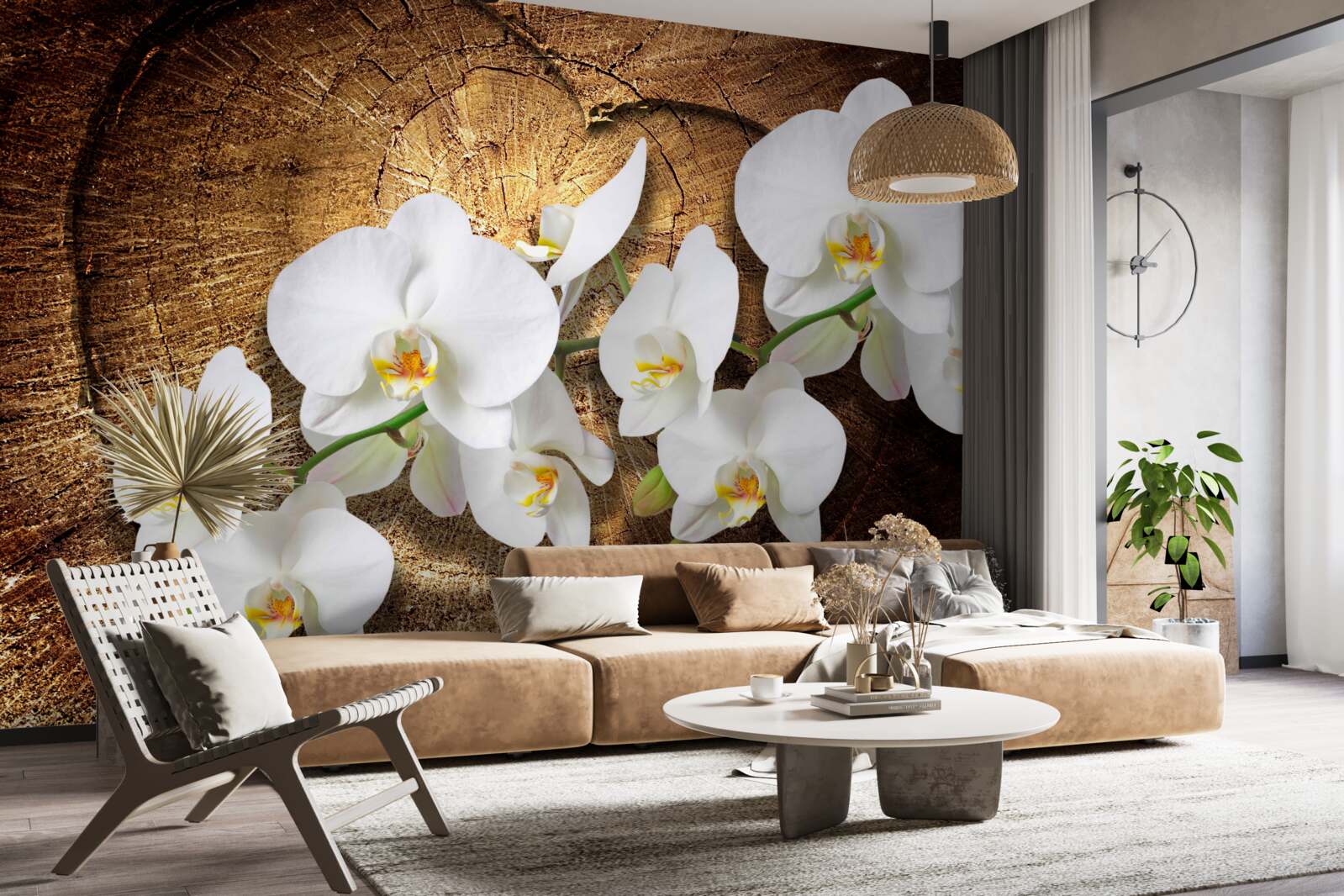 Fototapeten Schnee -White -Orchidee auf einem Schnittstamm eines Baumes