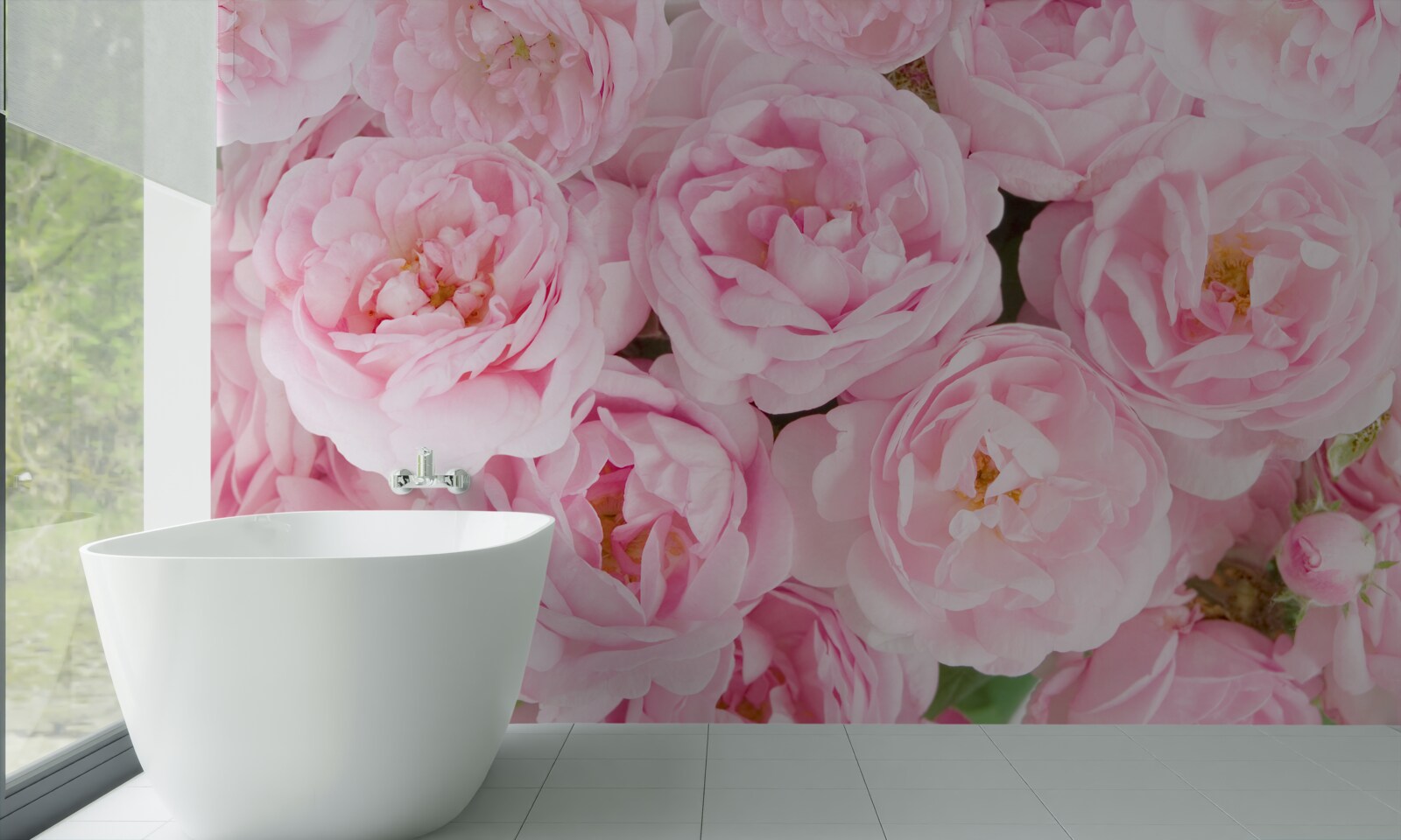 Fototapeten Tea Rose mit einem zarten rosa Farbton