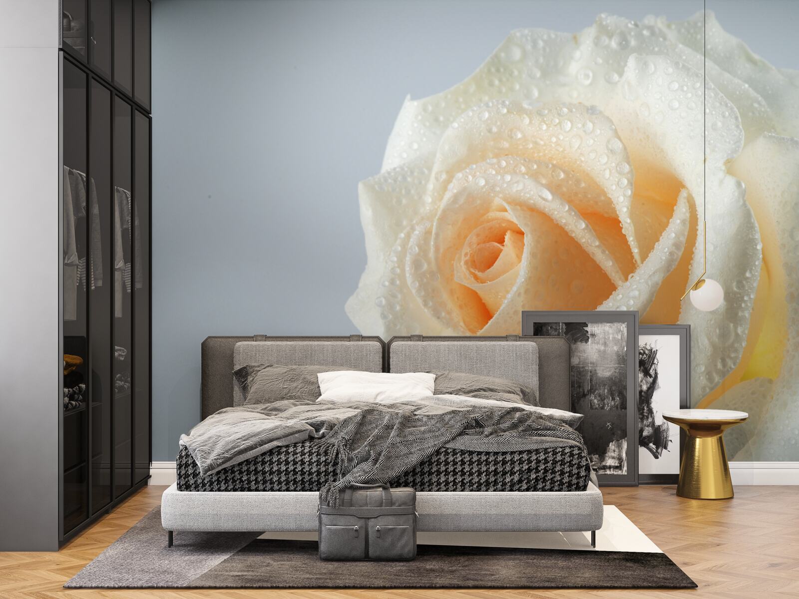Fototapeten Die Rose ist feucht und cremig