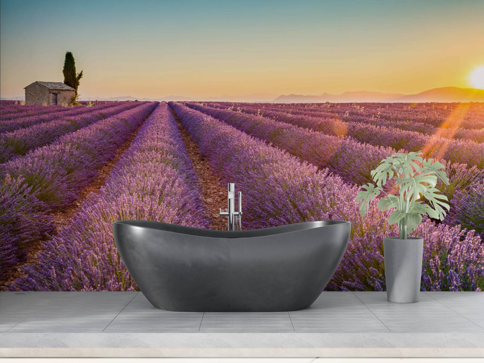 Fototapeten Dawn stand über dem Feld Lavendel auf