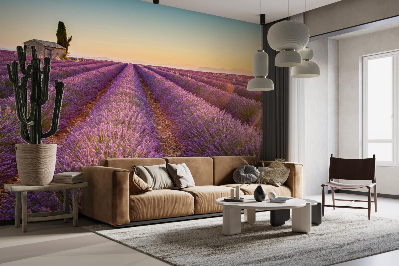 Fototapeten Dawn stand über dem Feld Lavendel auf